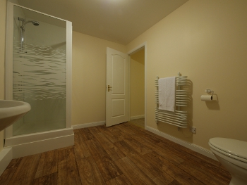 Greenpark Studio shower room